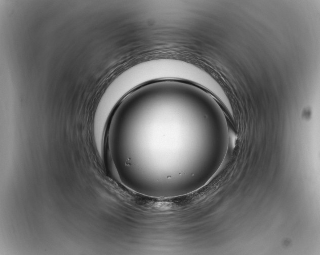 X0000099580324200805161242