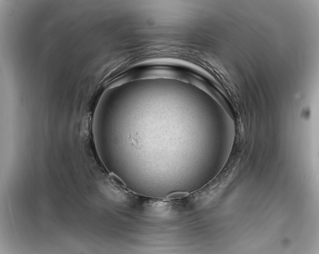 X0000099580325200805161242