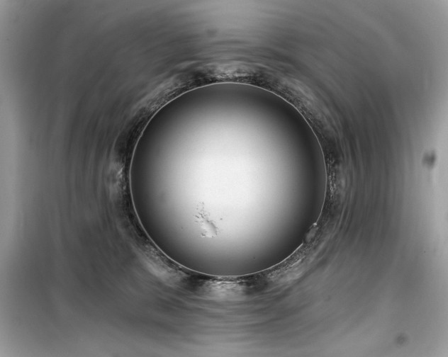 X0000099580327200805161242