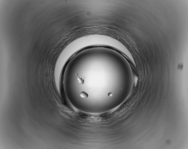 X0000099580328200805161242