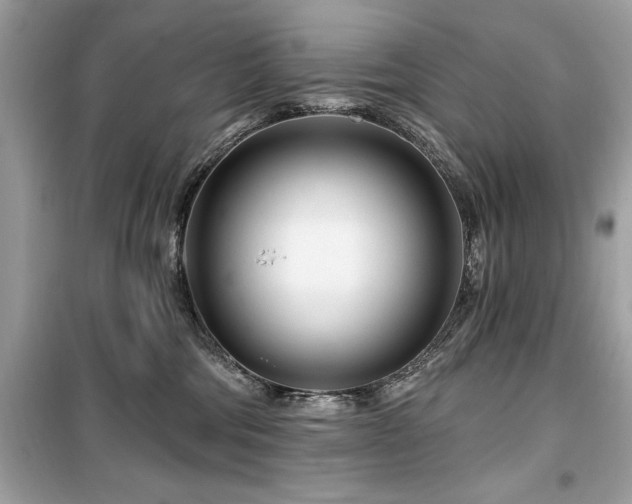 X0000099580330200805161242