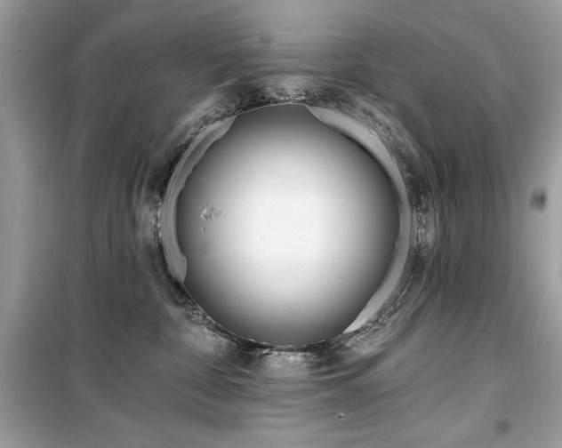 X0000099580332200805161242