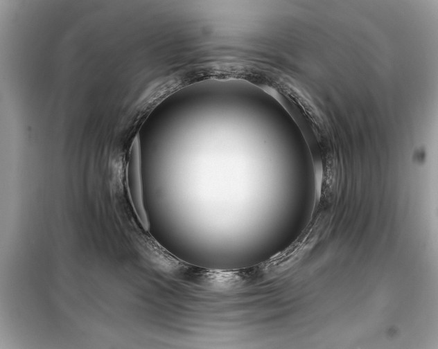 X0000099580333200805161242