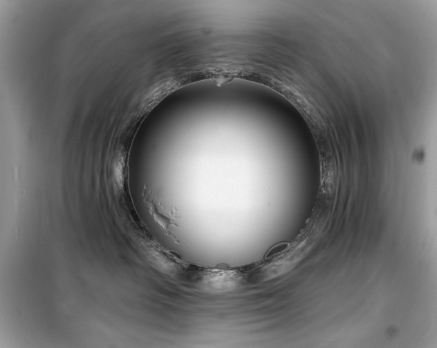 X0000099580334200805161241