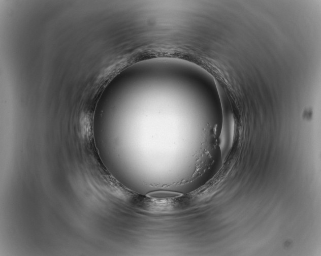 X0000099580335200805161241