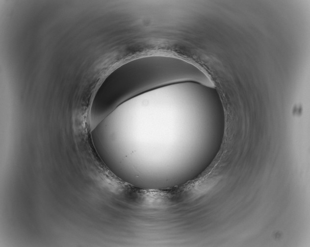 X0000099580336200805161241