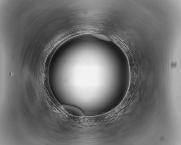 X0000099580338200805161241