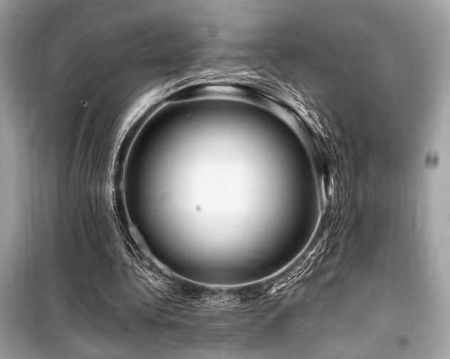 X0000099580340200805161241