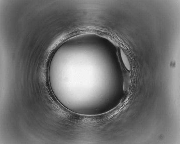 X0000099580341200805161241