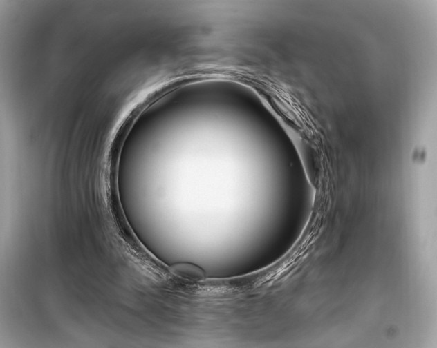 X0000099580342200805161241