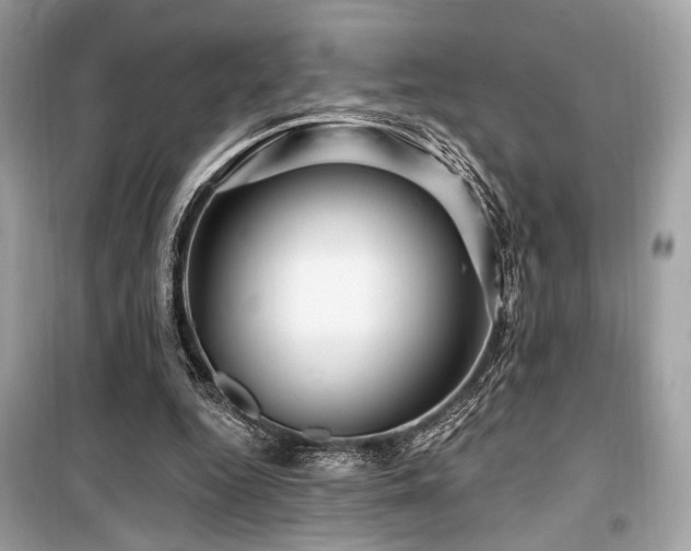 X0000099580344200805161241