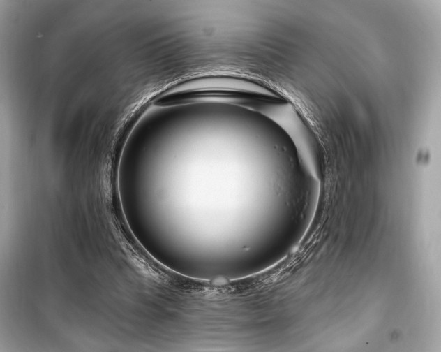X0000099580345200805161241