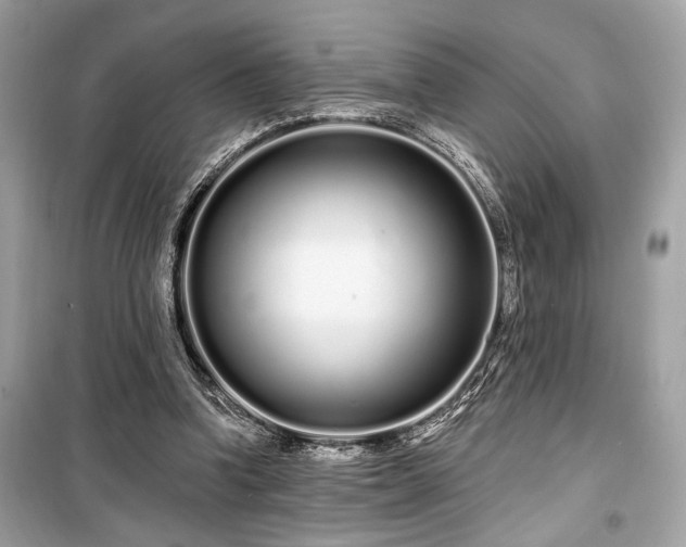 X0000099580346200805161241
