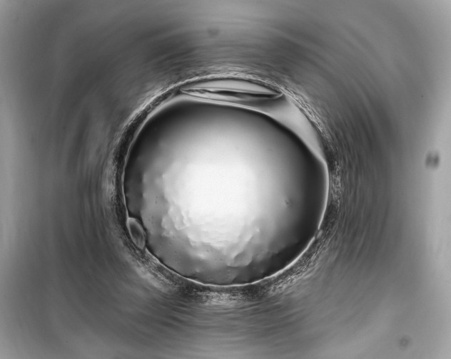 X0000099580347200805161241