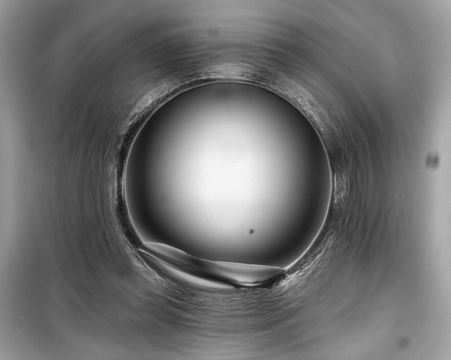 X0000099580349200805161241