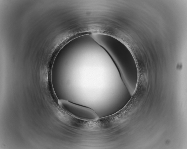 X0000099580350200805161241