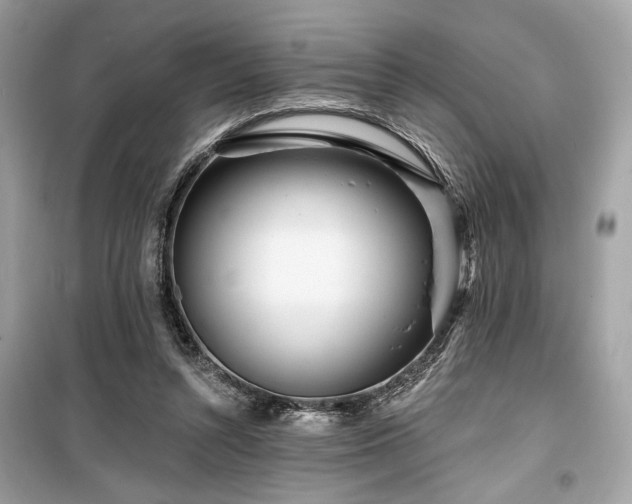 X0000099580352200805161241