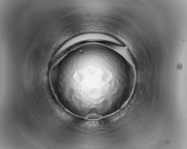 X0000099580353200805161241