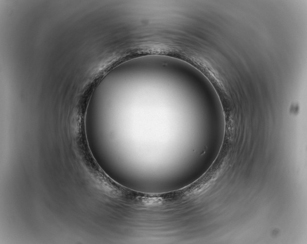 X0000099580355200805161241