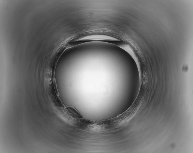 X0000099580356200805161241