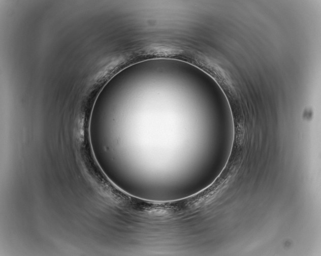 X0000099580358200805161241