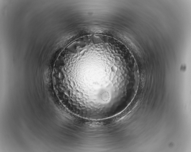 X0000099580359200805161241