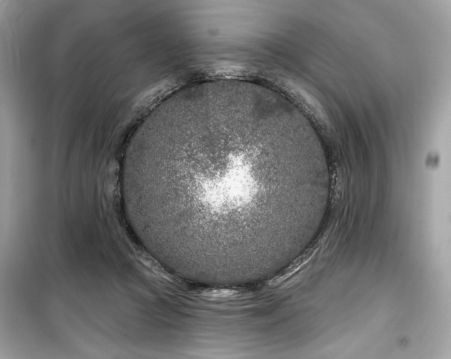 X0000099580361200805161241