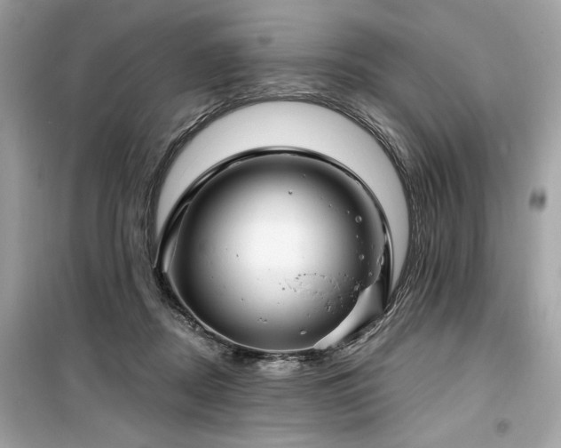 X0000099580362200805161241