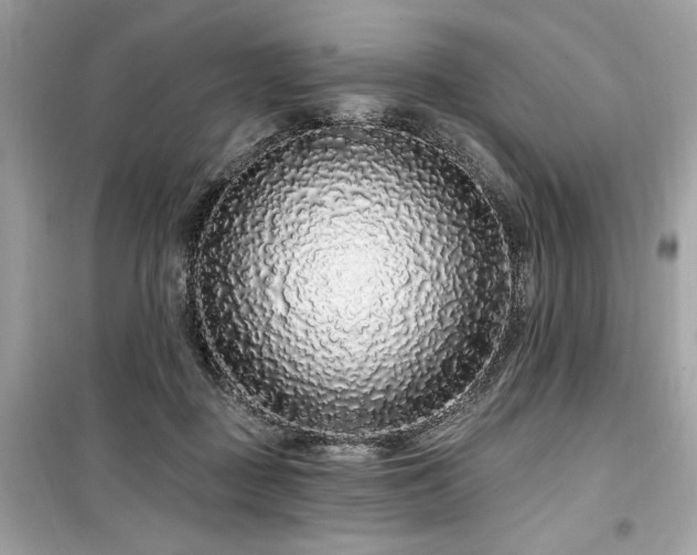 X0000099580363200805161241