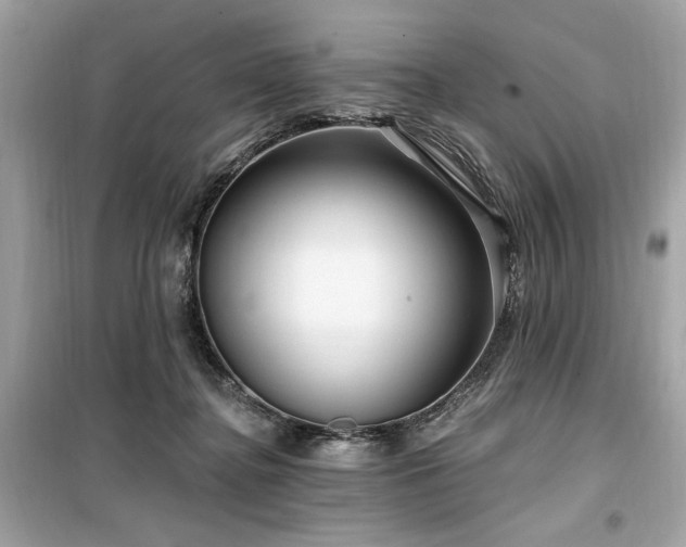 X0000099580364200805161241
