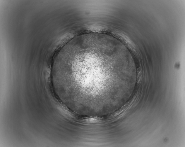 X0000099580365200805161241