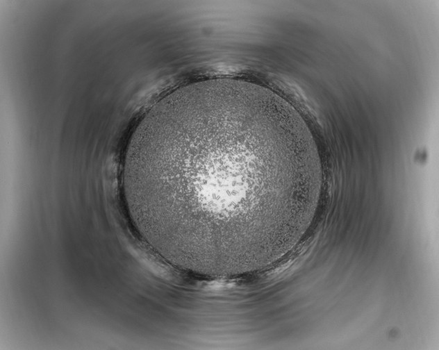 X0000099580366200805161241