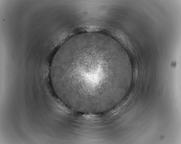 X0000099580367200805161241