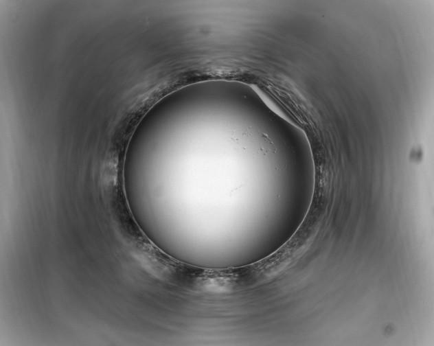 X0000099580368200805161241