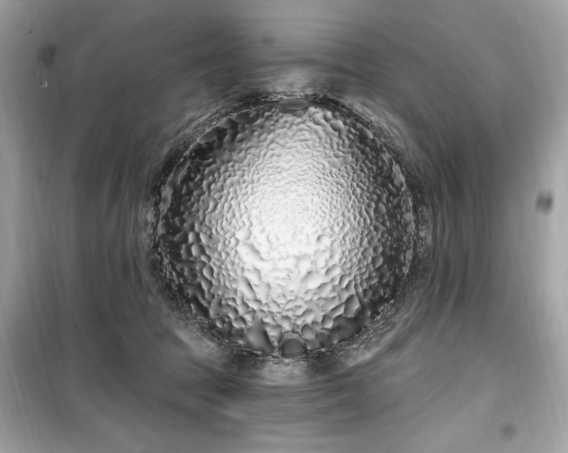 X0000099580369200805161241