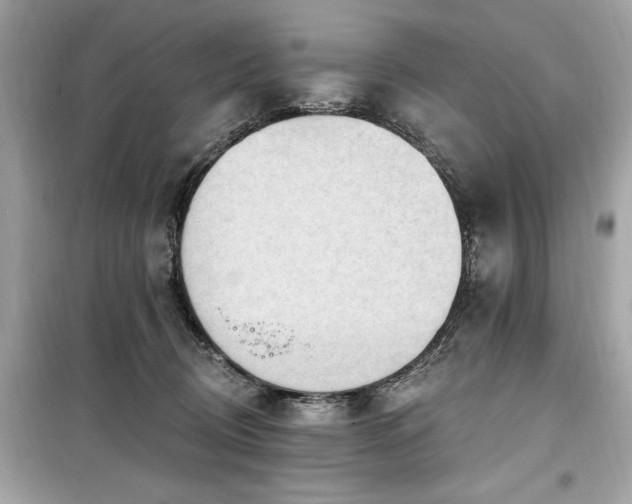 X0000099580370200805161241