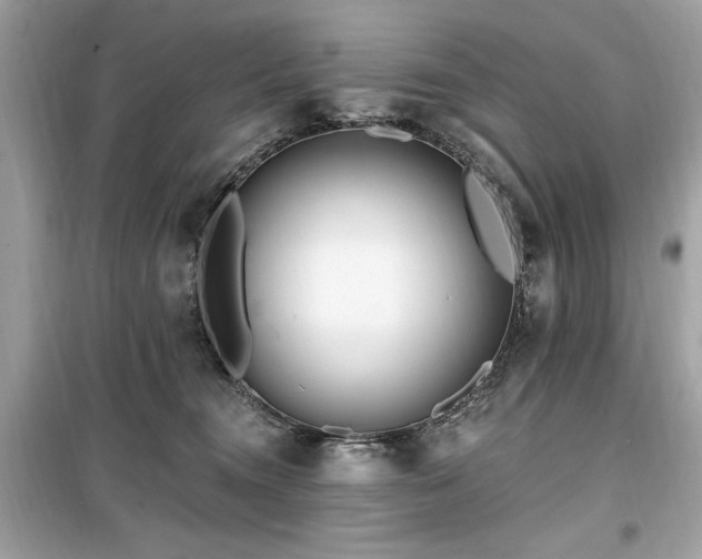 X0000099580372200805161241