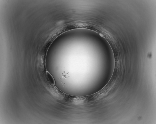 X0000099580373200805161241