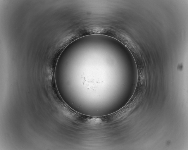 X0000099580374200805161241