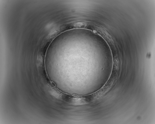 X0000099580375200805161241