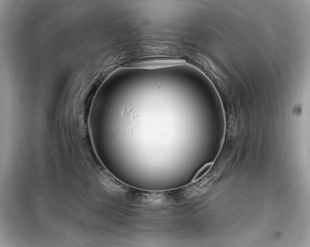 X0000099580377200805161241