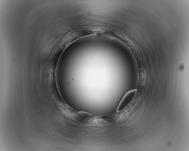 X0000099580379200805161241