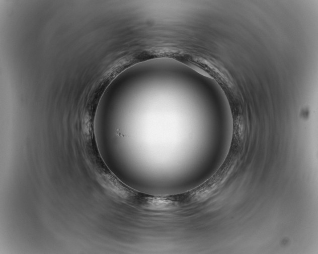 X0000099580380200805161241
