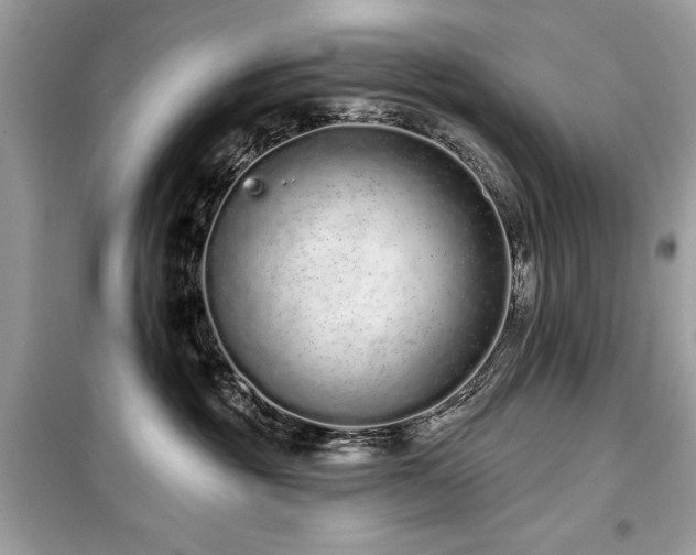 X0000099580381200805161241