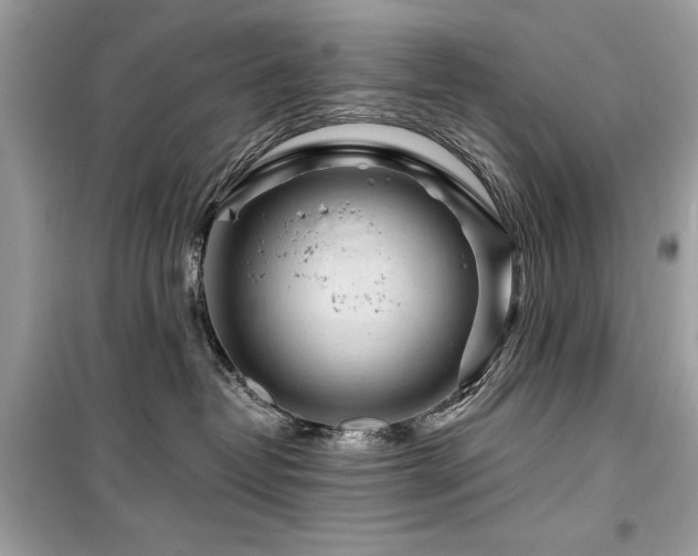 X0000099580382200805161241
