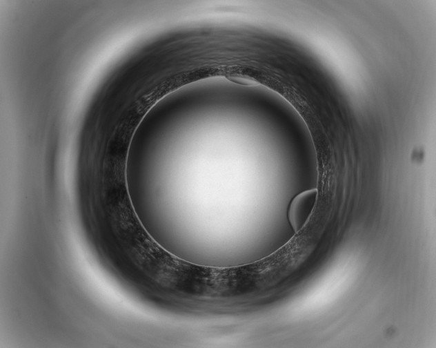 X0000099580383200805161241
