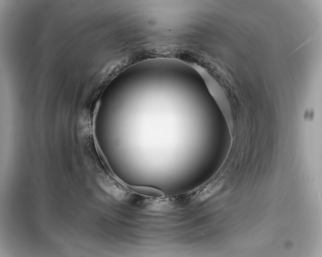 X0000099580384200805161241