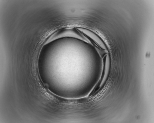 X0000099580385200805161241
