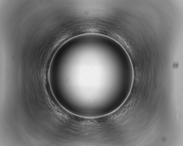 X0000099580386200805161241