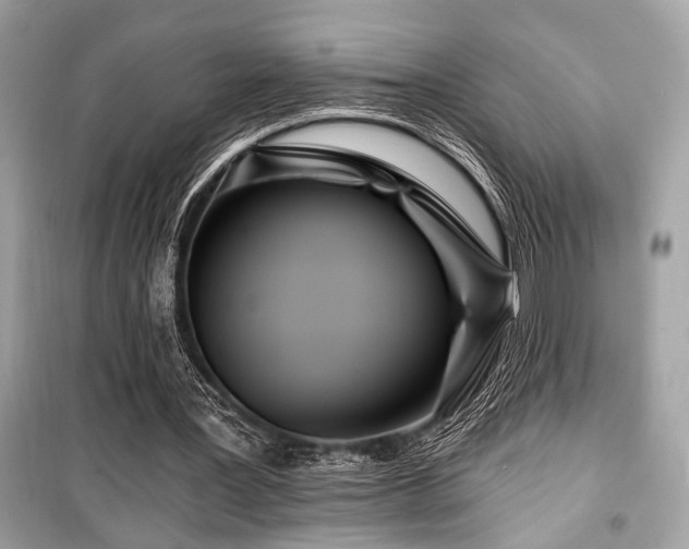 X0000099580387200805161240
